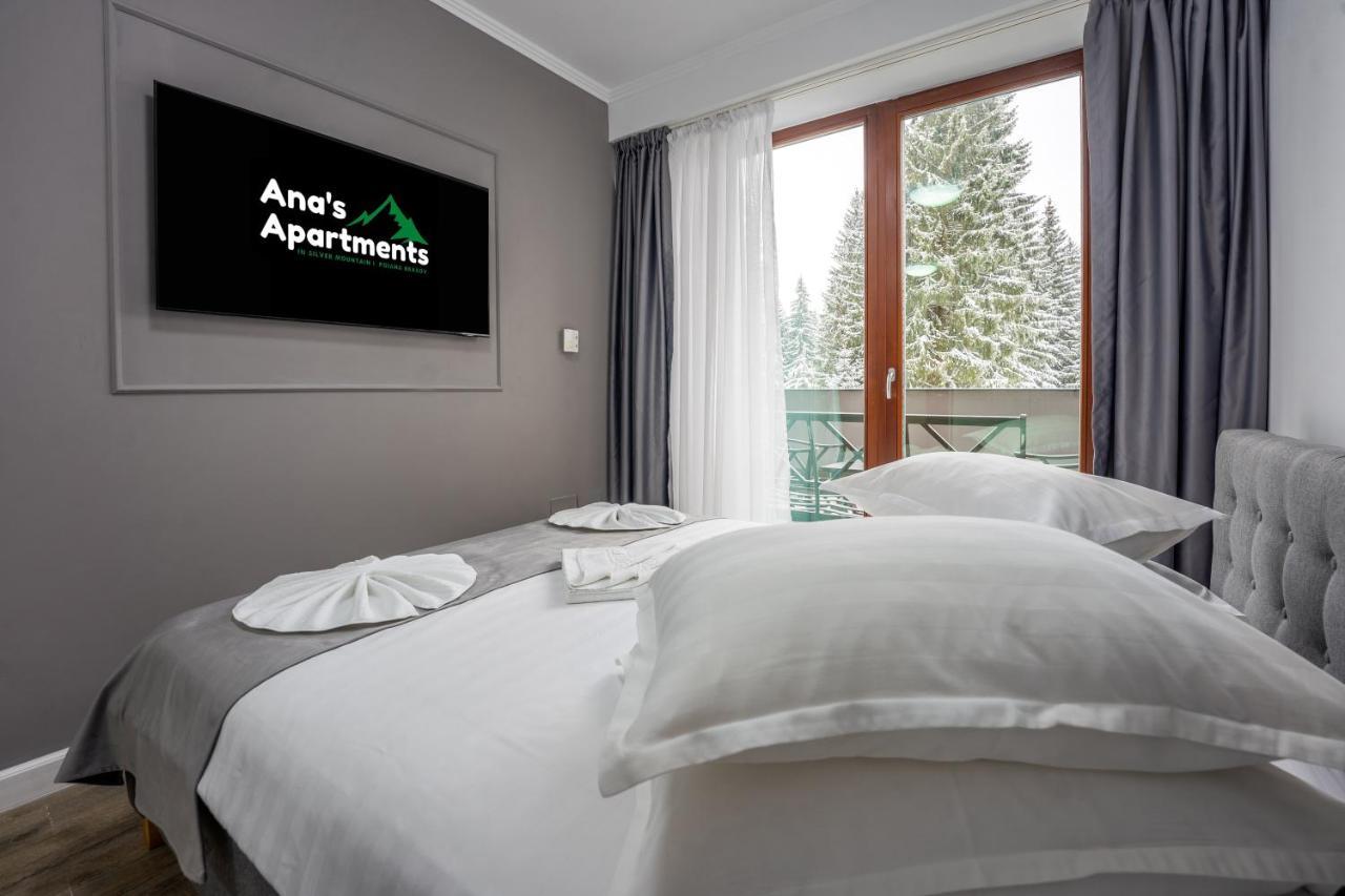 Silver Mountain - Ana'S Apartments Poiana Brasov Exterior photo